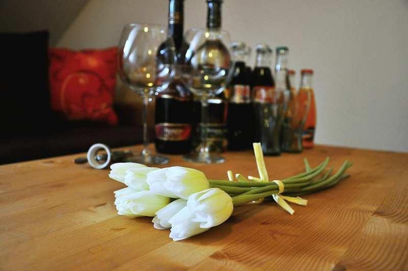 Penzion Rosenau Rožňava Bagian luar foto